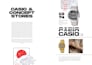 design a professional catalog, brochure or magazine layout